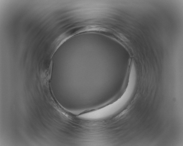 X0000062141369200512231453