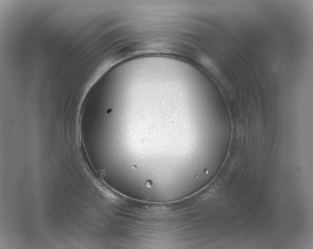 X0000062141370200512231453