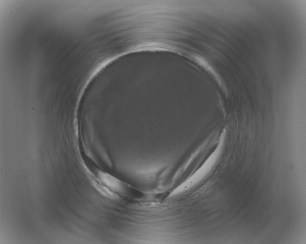 X0000062141372200512231453