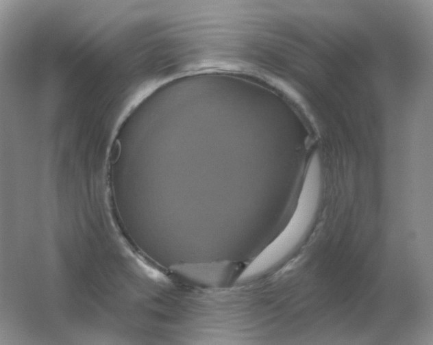 X0000062141373200512231453