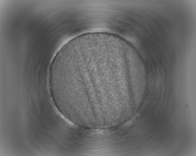 X0000062141374200512231453