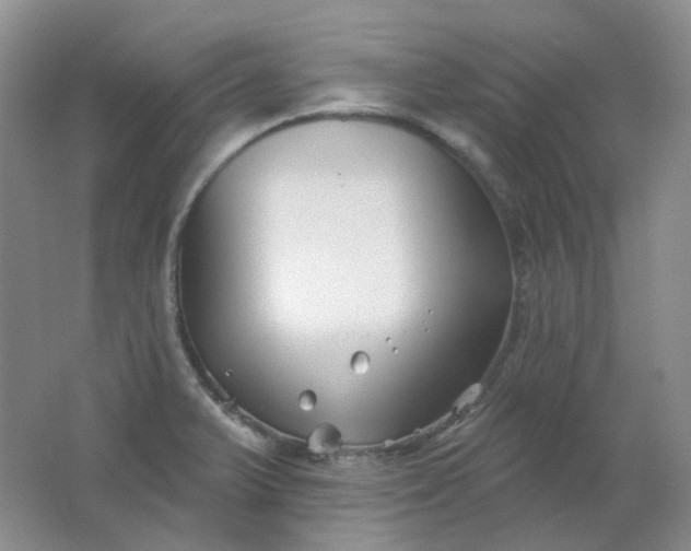 X0000062141375200512231453