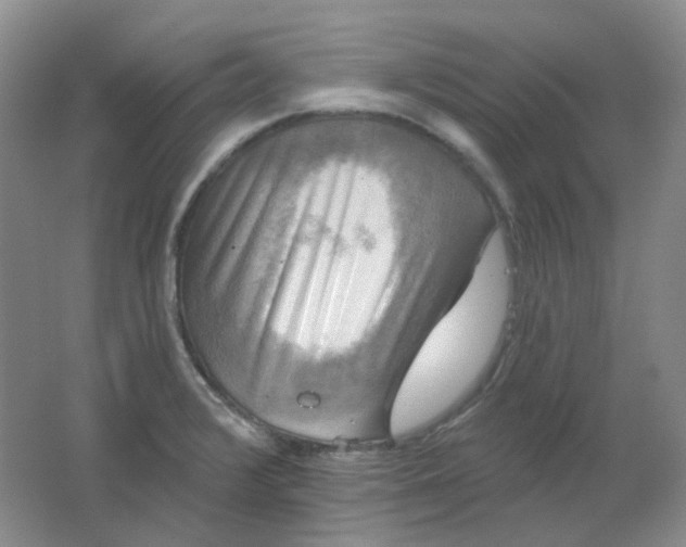 X0000062141376200512231453