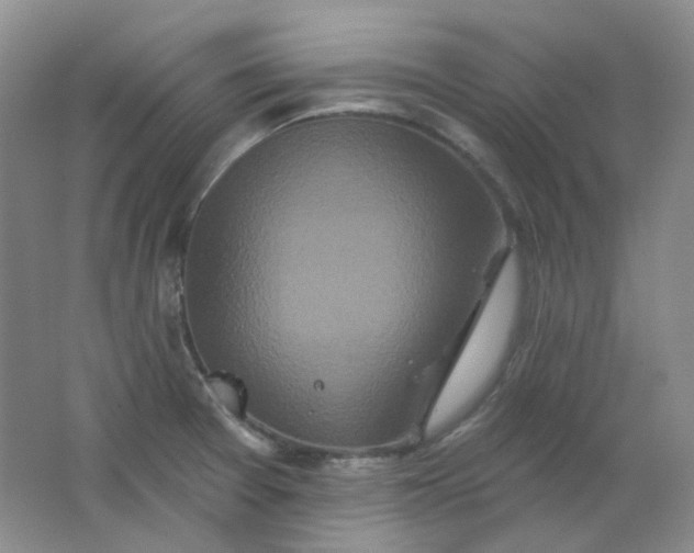 X0000062141377200512231453