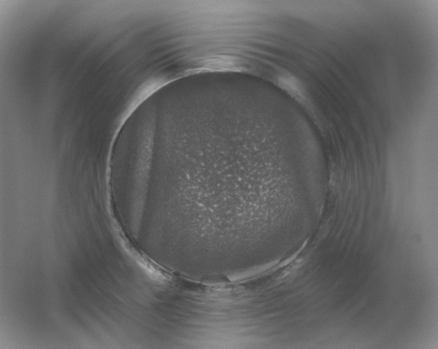 X0000062141378200512231453