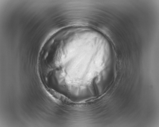 X0000062141379200512231453