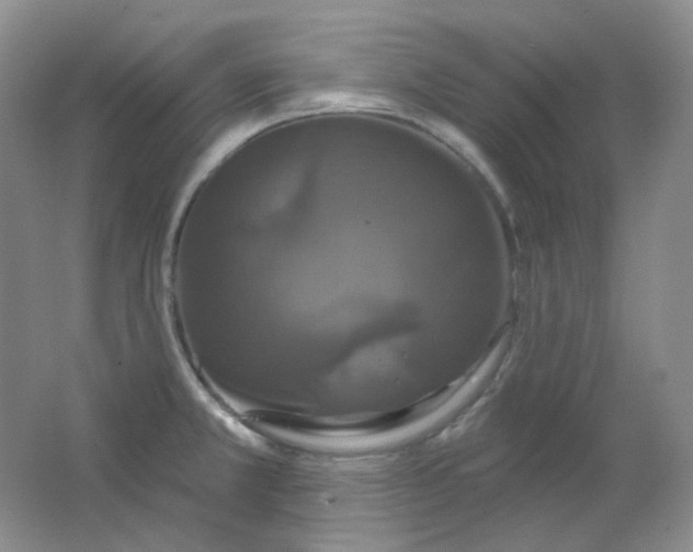 X0000062141381200512231453