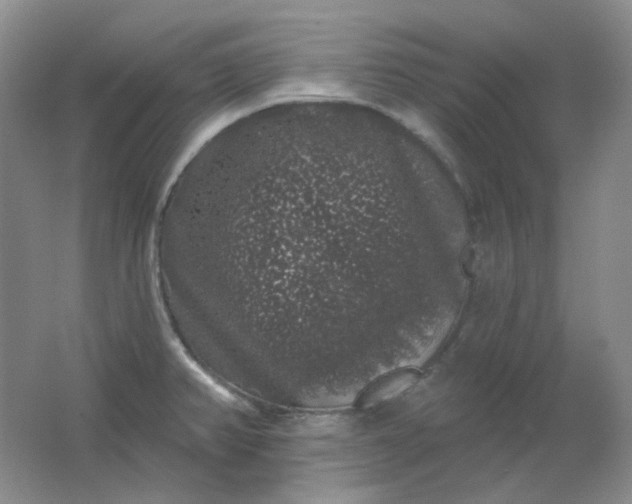 X0000062141382200512231453