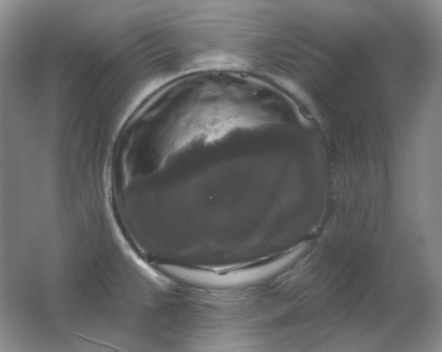 X0000062141383200512231453