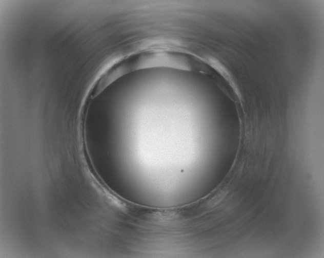 X0000062141384200512231453