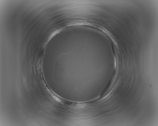 X0000062141385200512231453