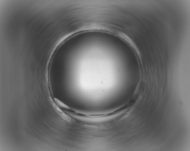 X0000062141388200512231453