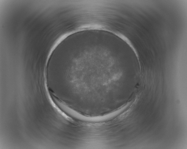 X0000062141389200512231453