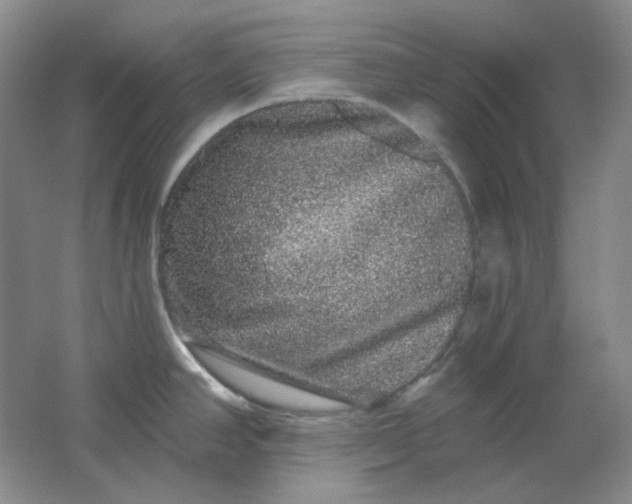 X0000062141390200512231453