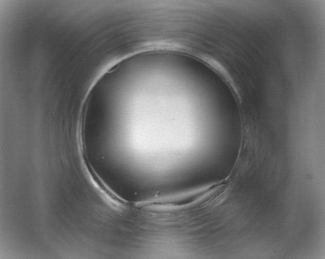 X0000062141391200512231453