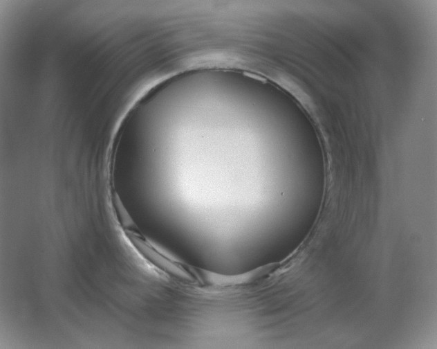 X0000062141392200512231453