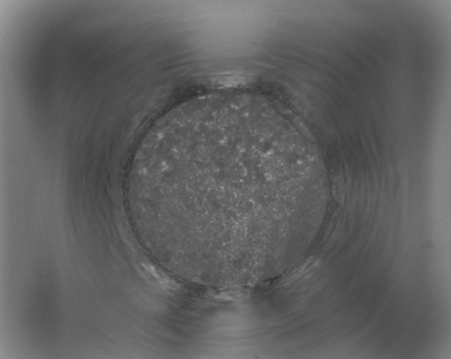 X0000062141393200512231452