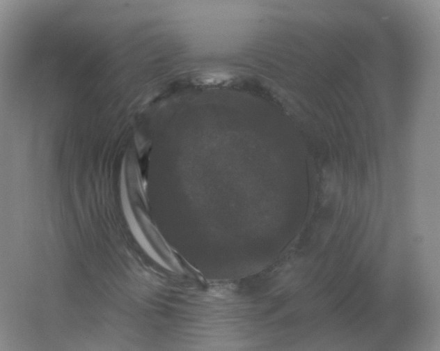 X0000062141394200512231452