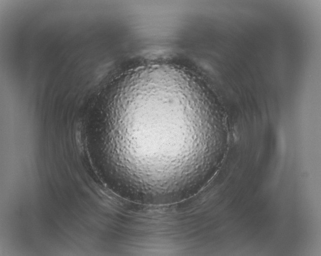 X0000062141396200512231452