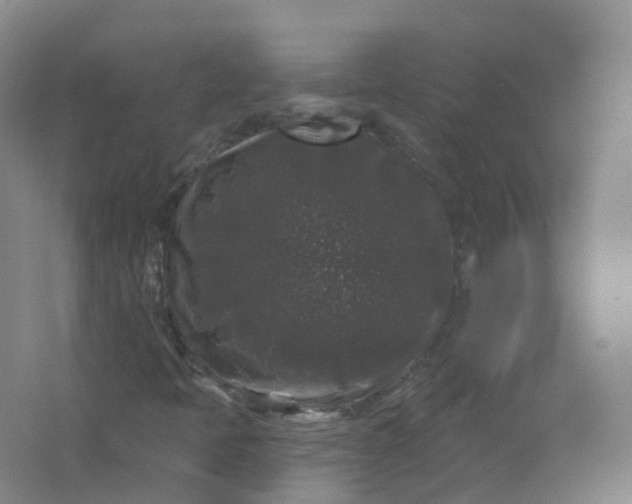 X0000062141397200512231452