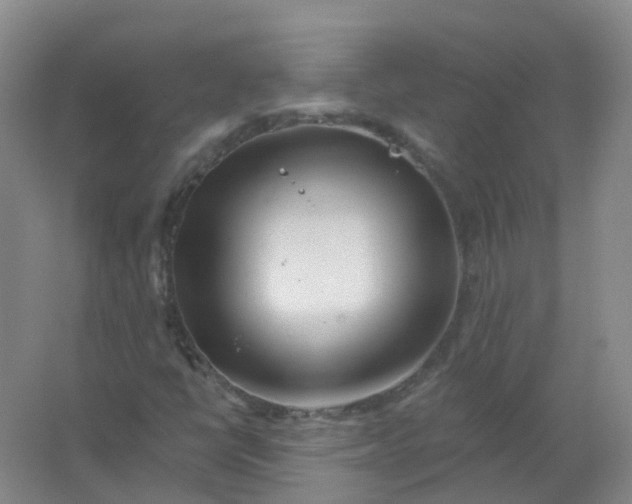 X0000062141398200512231452