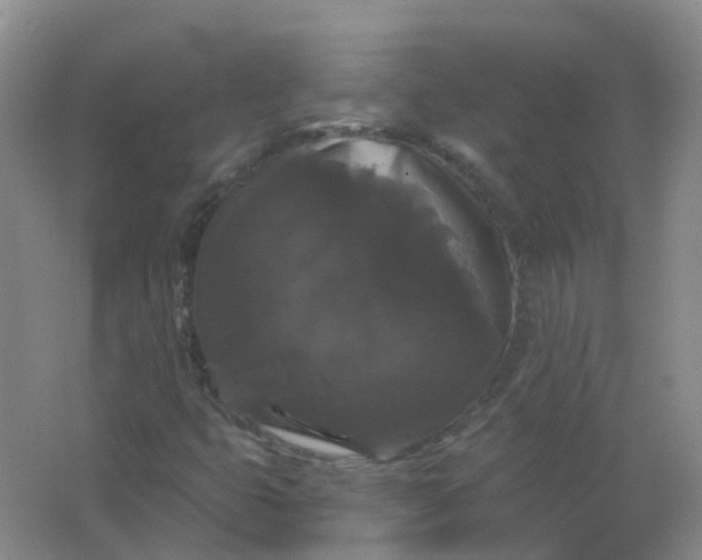 X0000062141399200512231452