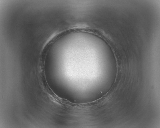 X0000062141400200512231452