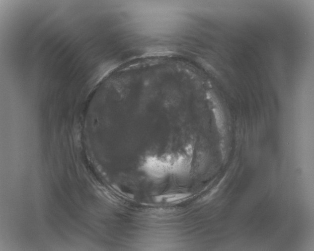 X0000062141401200512231452