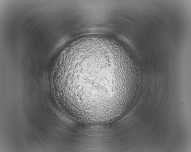 X0000062141403200512231452