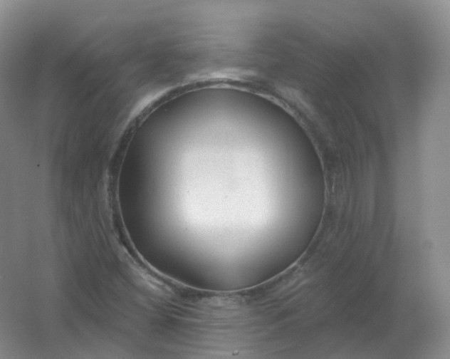 X0000062141404200512231452