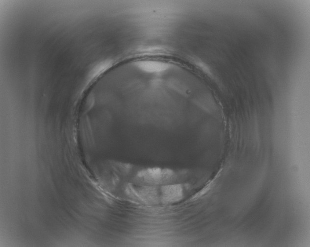 X0000062141405200512231452