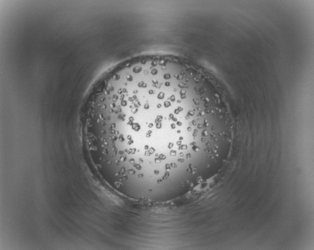 X0000062141408200512231452