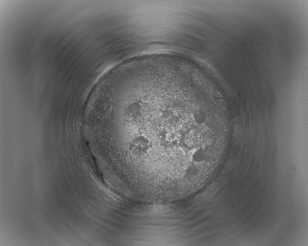 X0000062141409200512231452