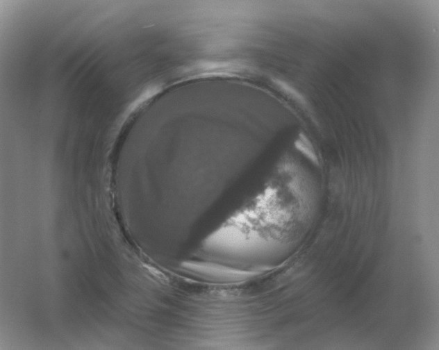 X0000062141411200512231452