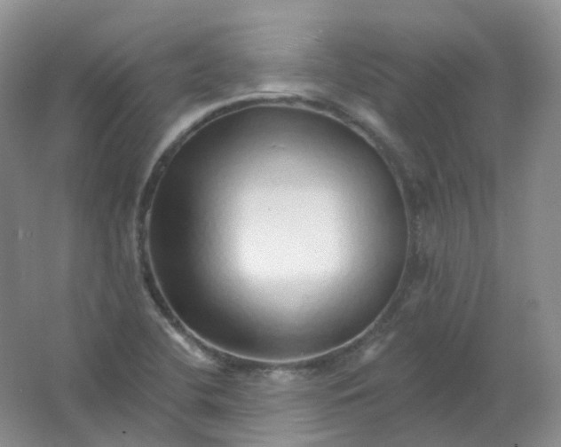 X0000062141412200512231452