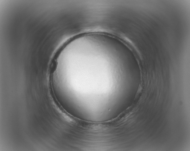 X0000062141416200512231453