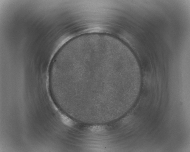 X0000062141418200512231453