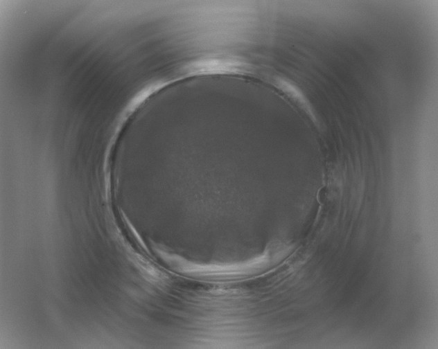 X0000062141419200512231453