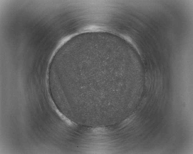 X0000062141421200512231453