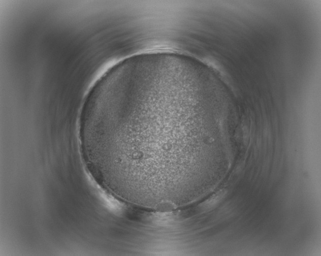 X0000062141422200512231453