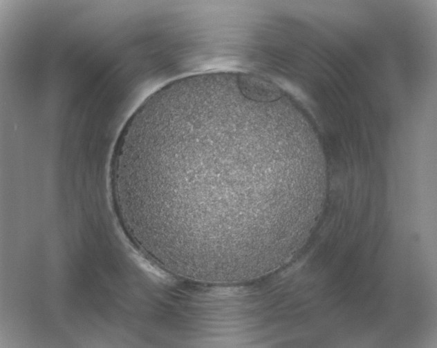 X0000062141423200512231453