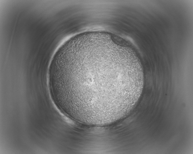 X0000062141424200512231453