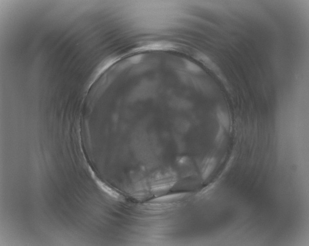 X0000062141425200512231453