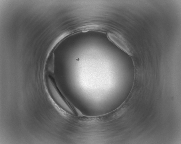 X0000062141426200512231453