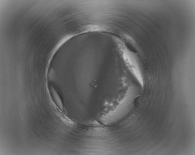 X0000062141427200512231453