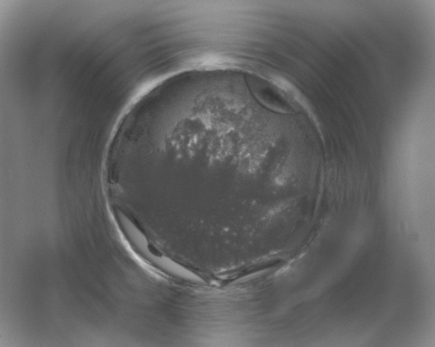 X0000062141429200512231453