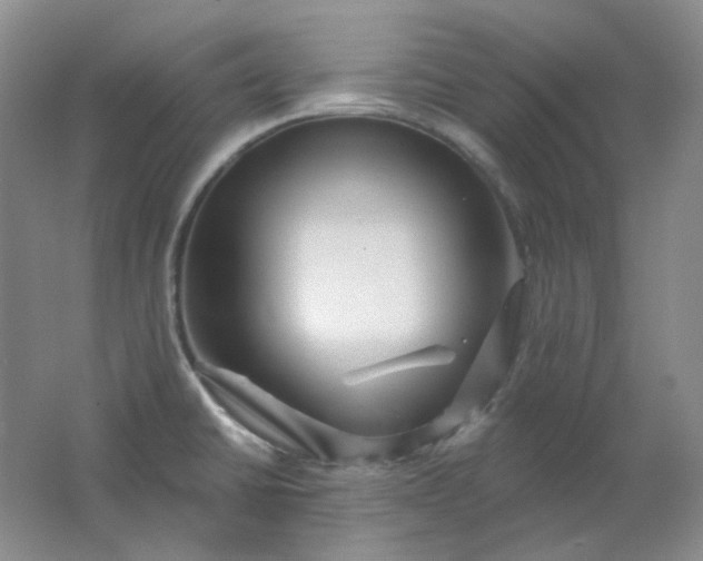 X0000062141430200512231453