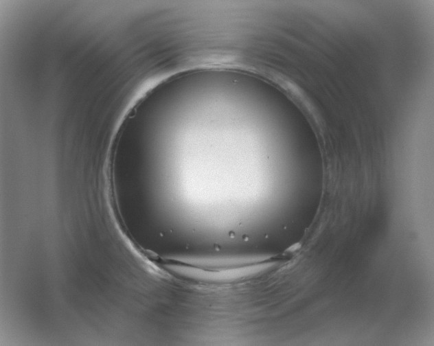 X0000062141432200512231453