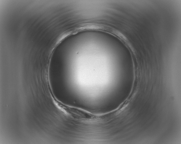 X0000062141433200512231453