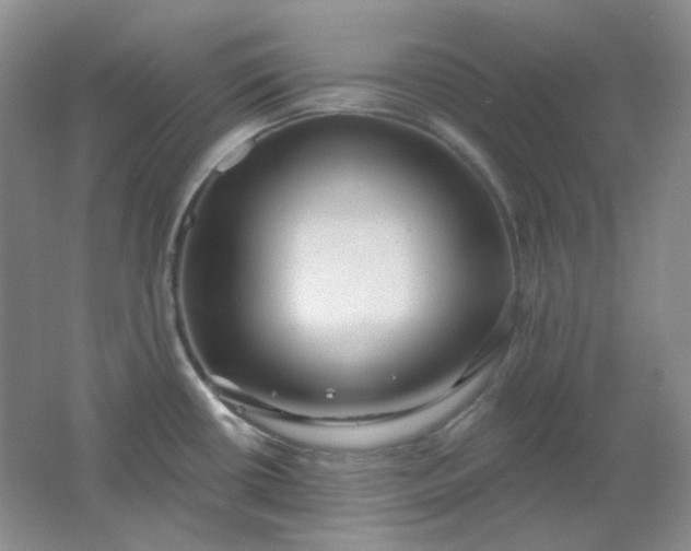 X0000062141434200512231453